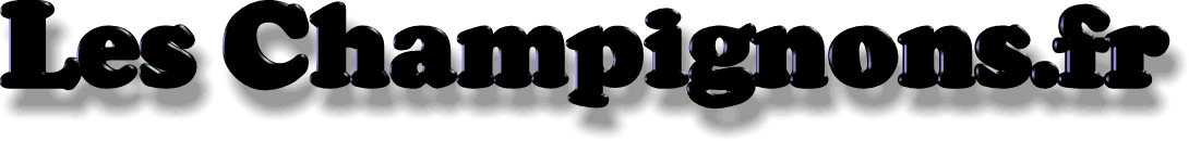 logo champignon